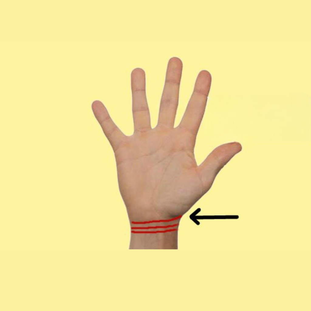 bracelet-lines-in-palmistry-rishabh-shrivastava